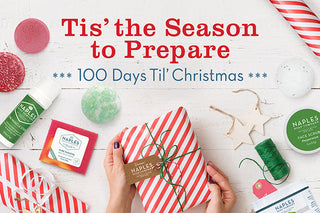 Christmas Count Down: 100 Days to Plan and Shop