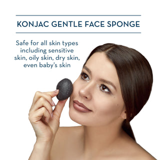 Konjac Sponge Model