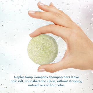 Coconut Lime Shampoo Bar Hand Info